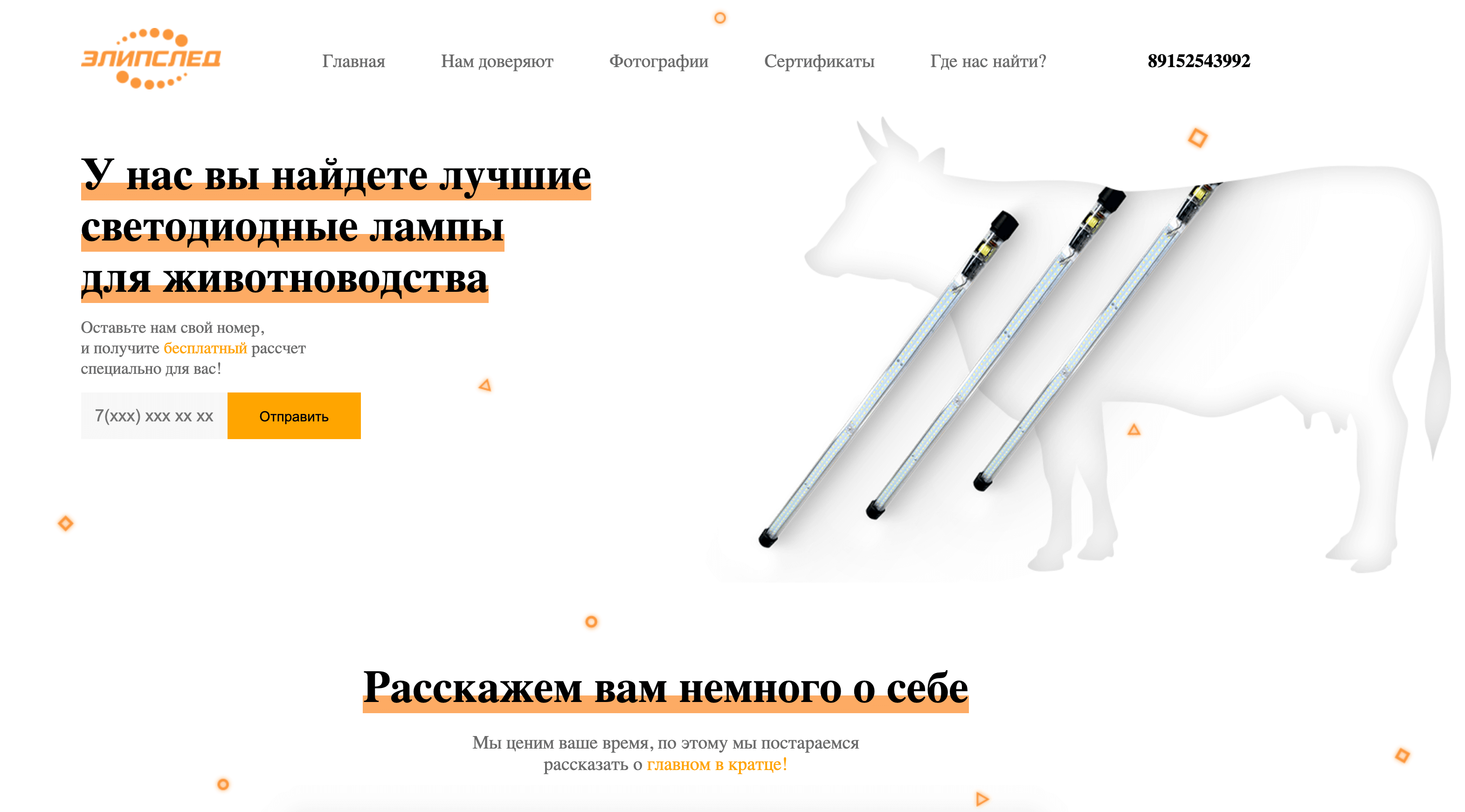 site elips led landing page